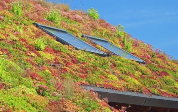 Llanddewir Cwm living roof systems